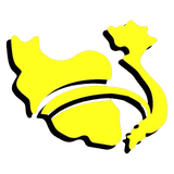 نشان ایران ویتنام