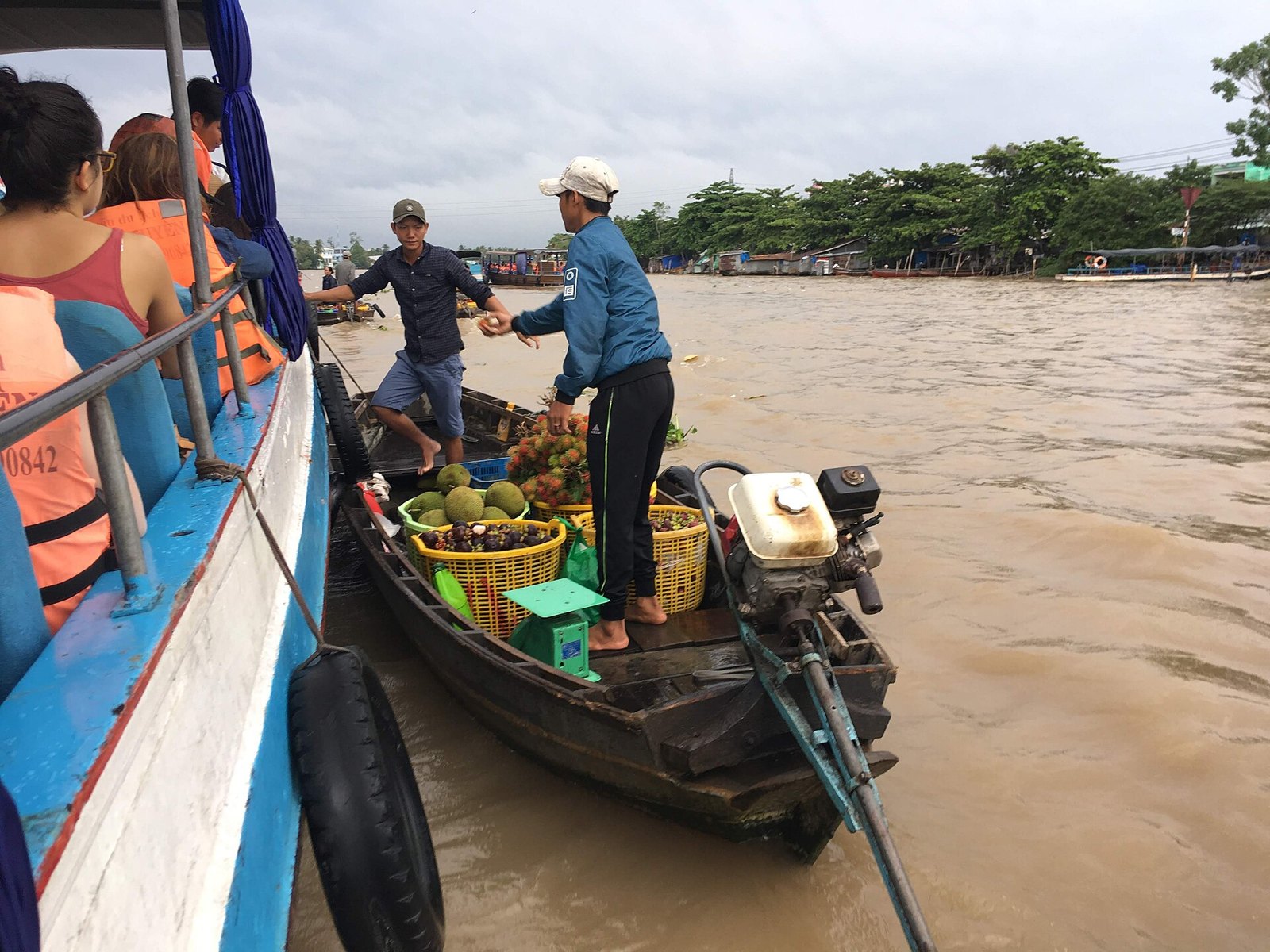 Mekong Delta