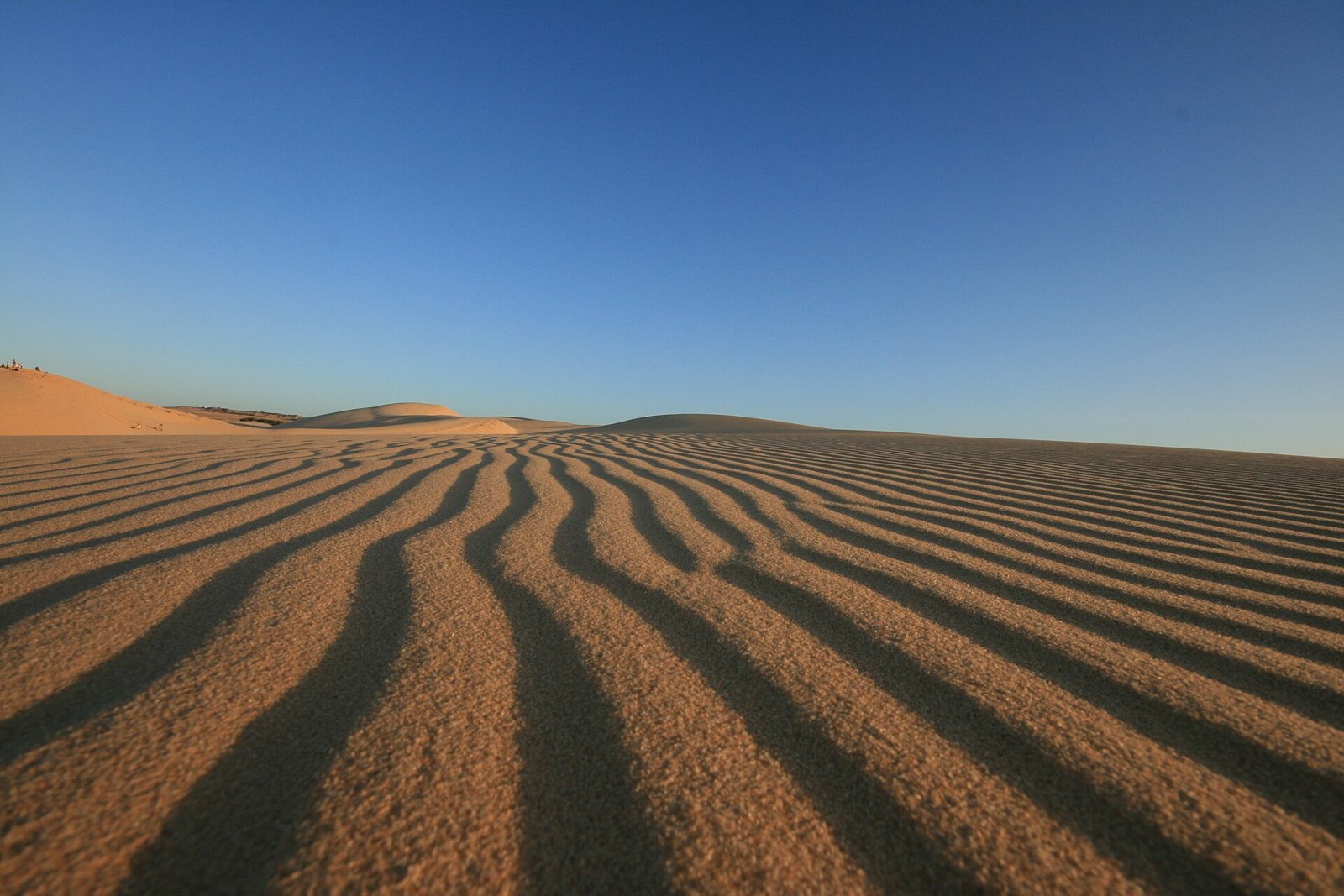 Red Sand Dunes